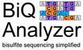 BiQ Analyzer Logo